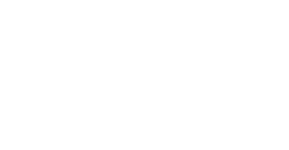FIM Europe